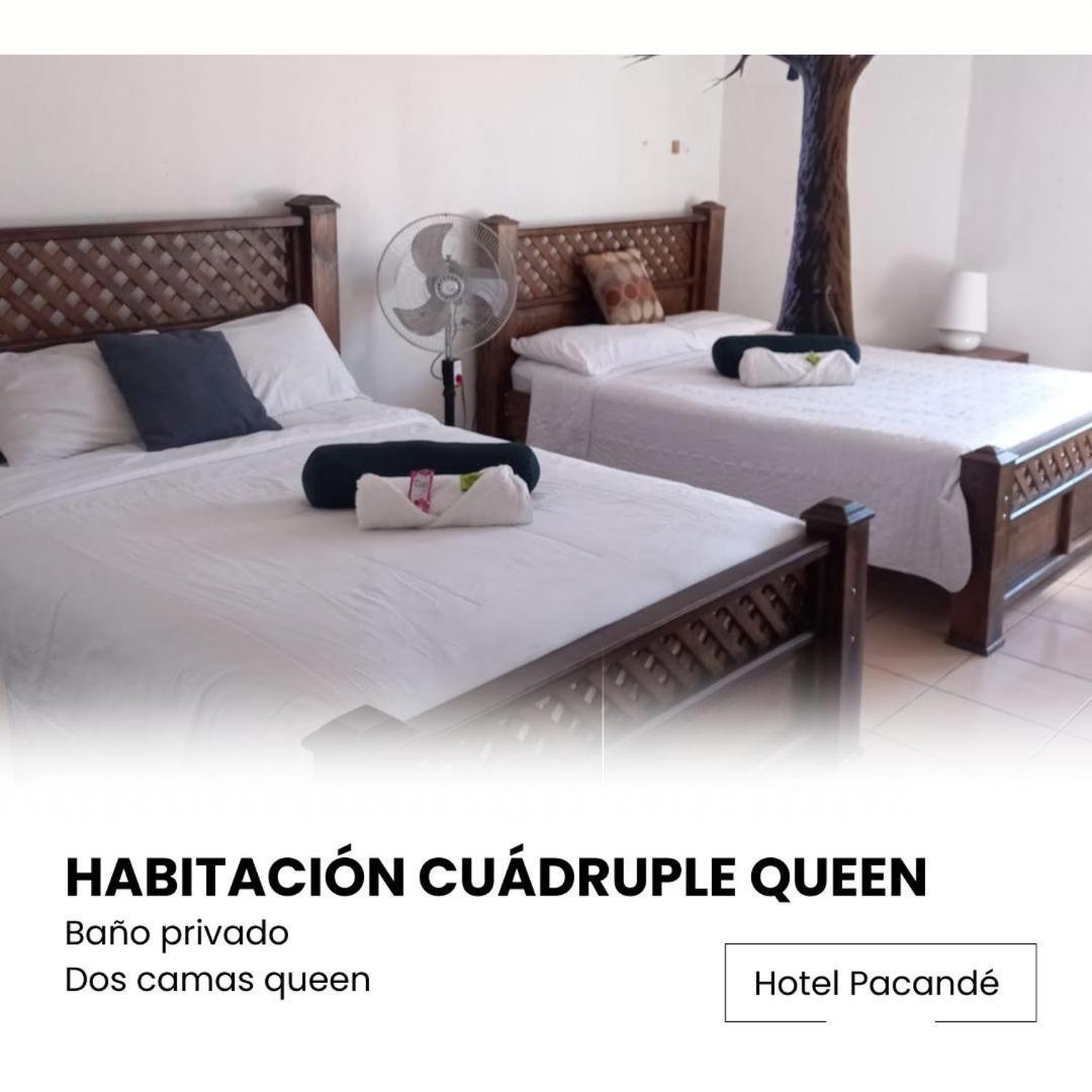 Hotel Pacande B&B 알라후엘라 외부 사진