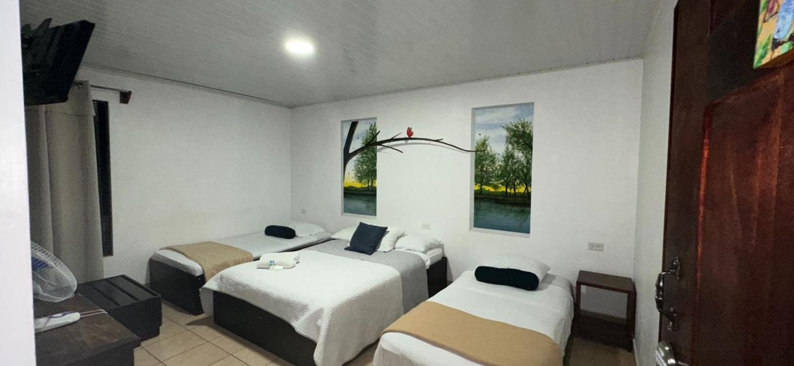 Hotel Pacande B&B 알라후엘라 외부 사진
